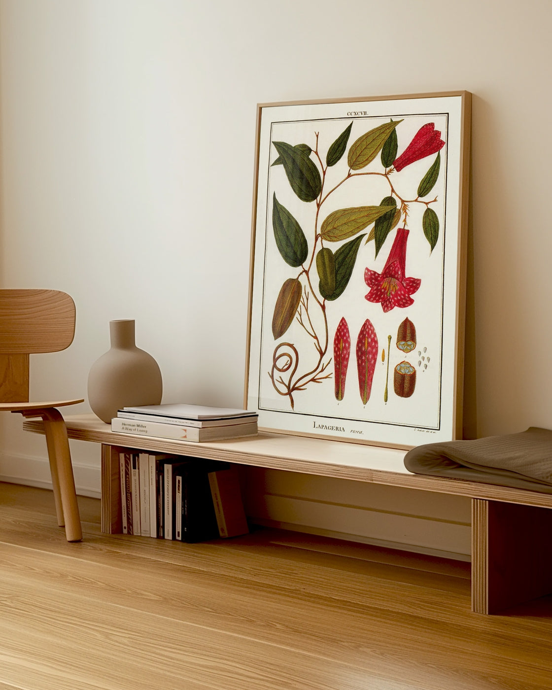 canvas