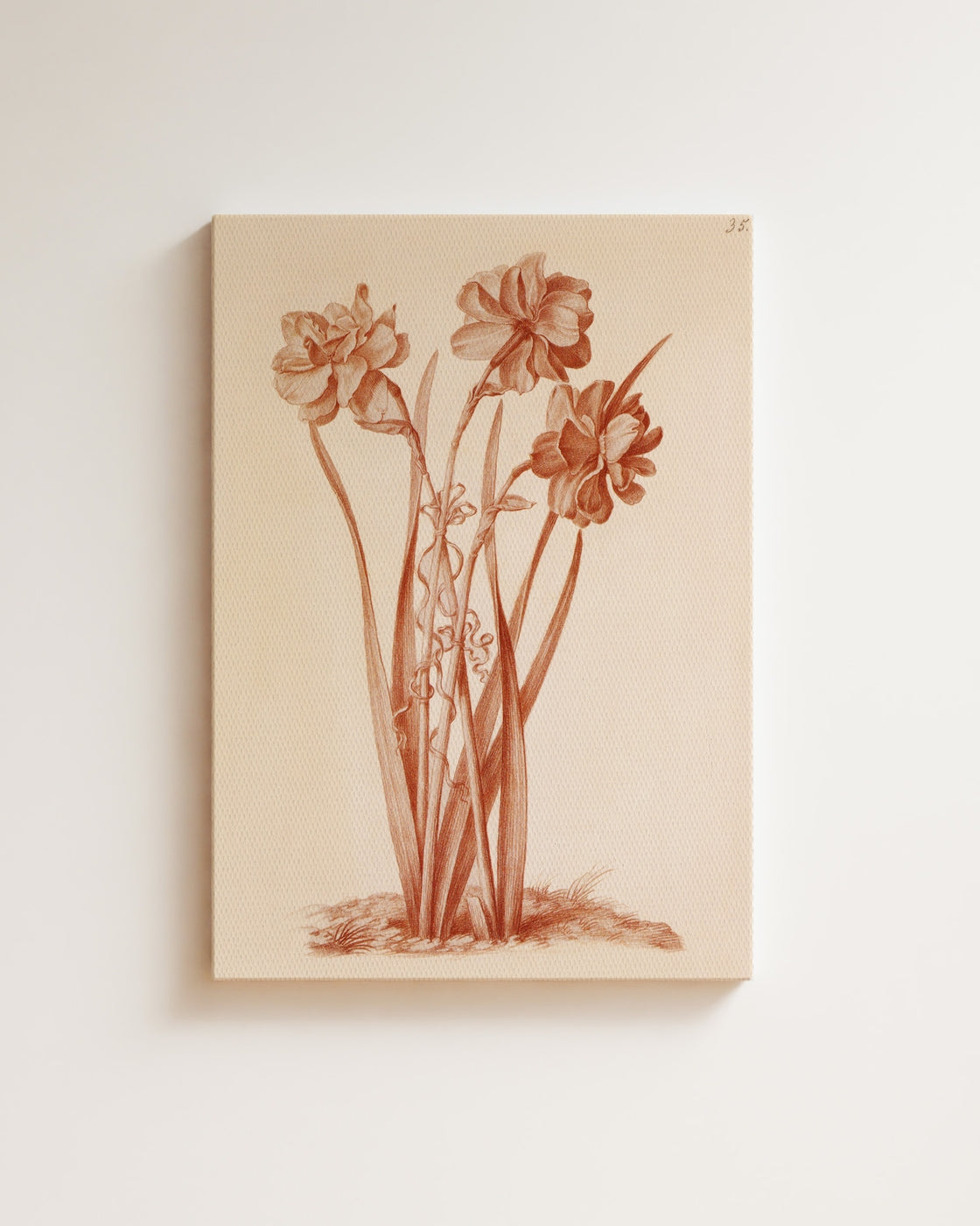 stretched-canvas