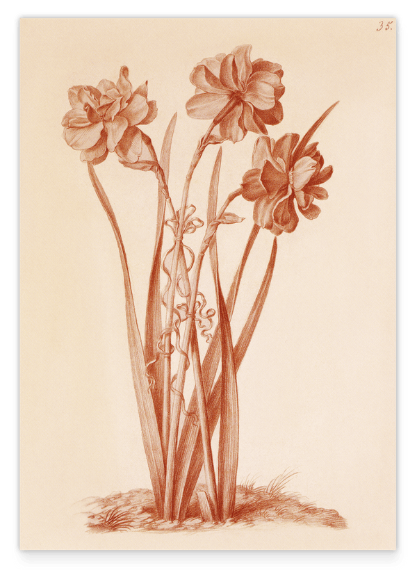 Blumenzeichnung