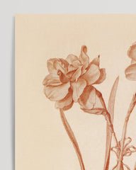 After Hover: Flower drawing