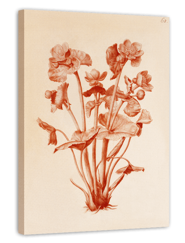 Blumenzeichnung