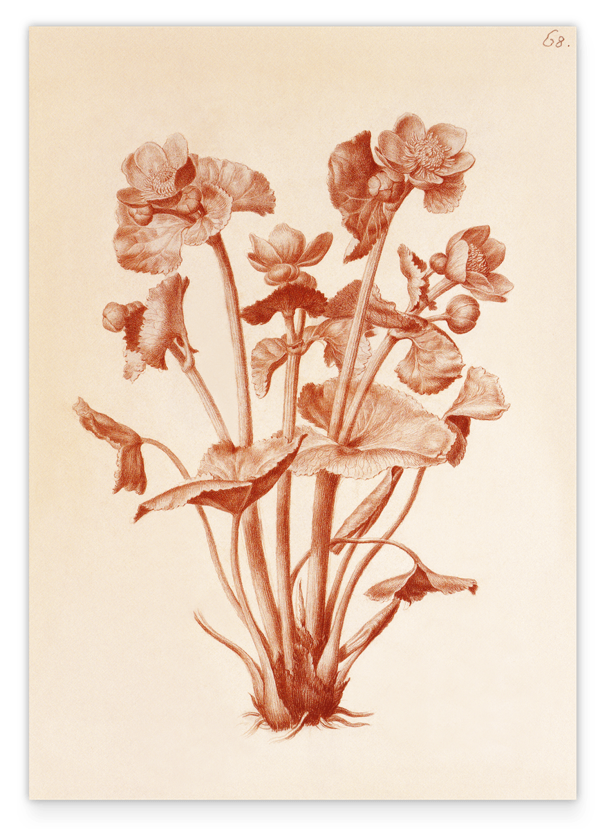 Blumenzeichnung