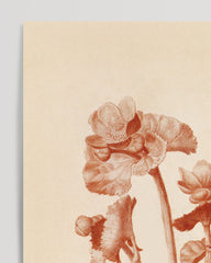 After Hover: Flower drawing