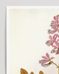 After Hover: Pink flowers