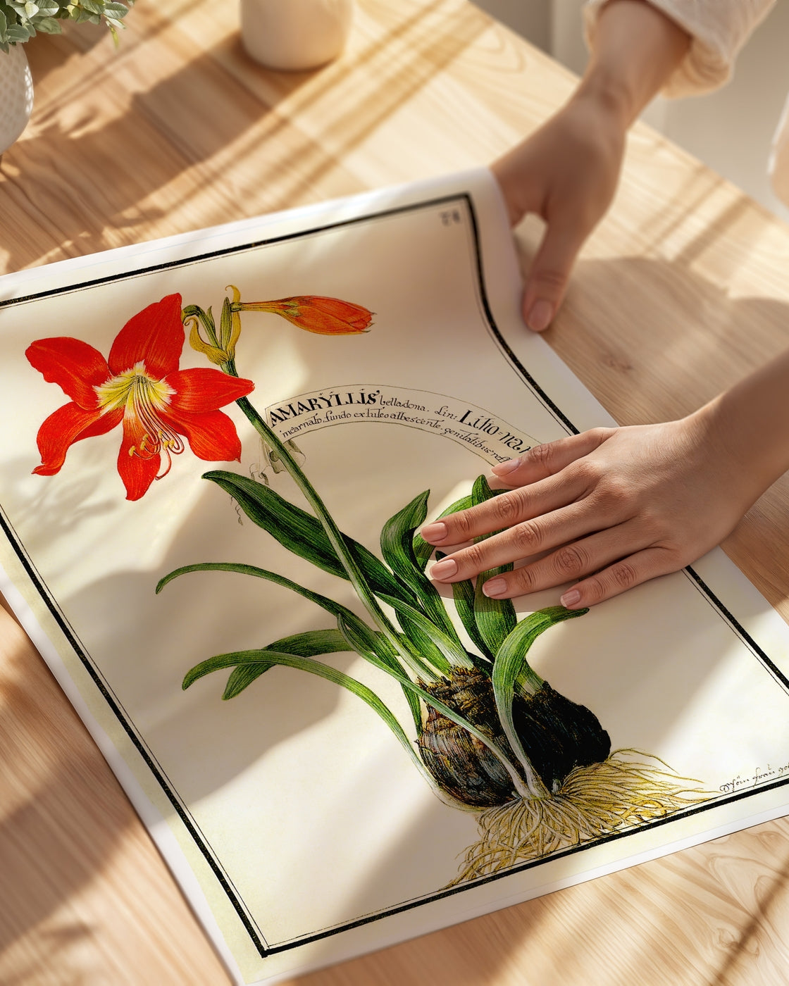 poster