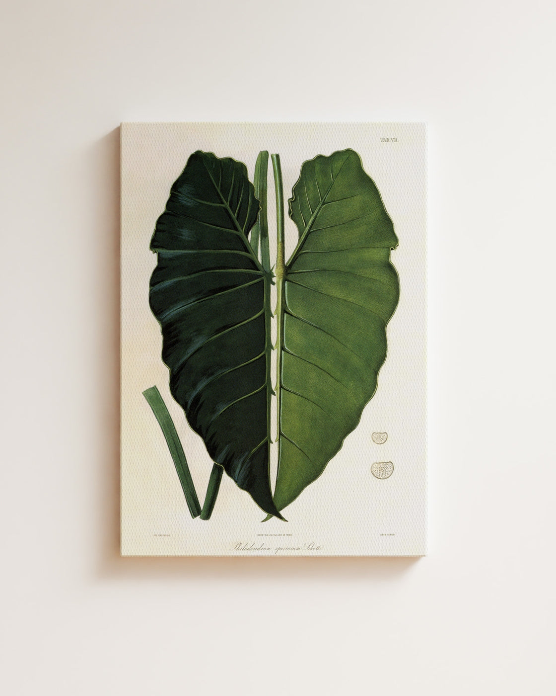 stretched-canvas