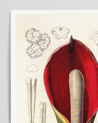 After Hover: Flower with flower stem - An analysis
