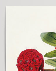After Hover: Red Rhododendron