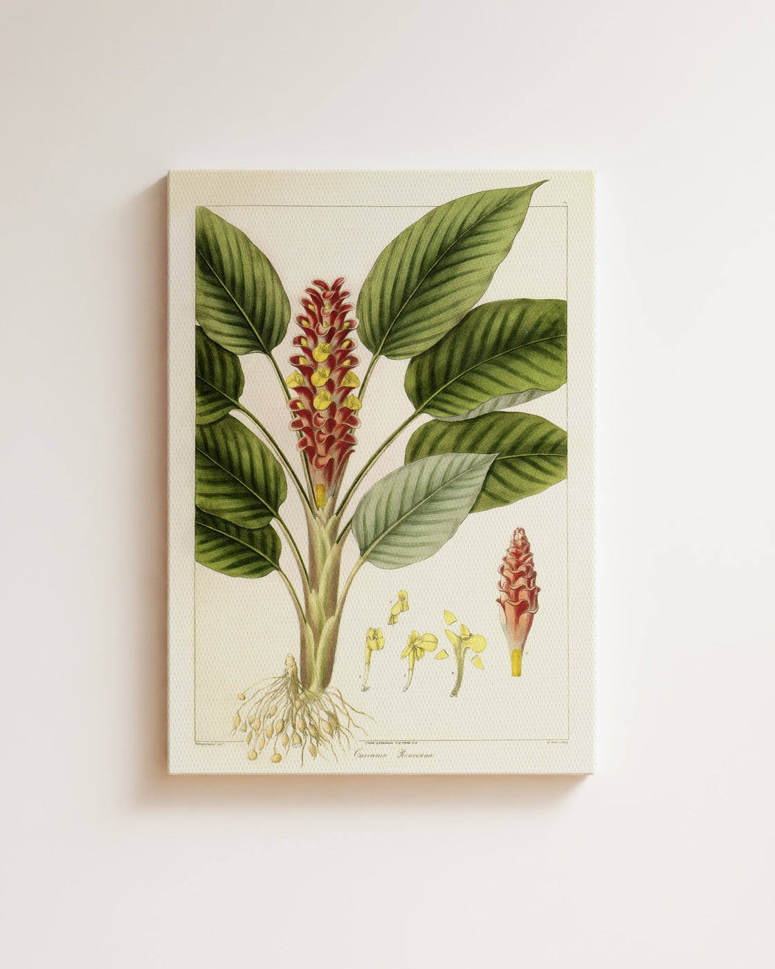 stretched-canvas