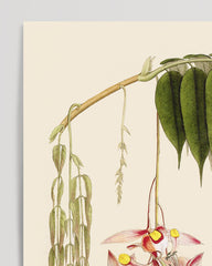 After Hover: branch with leaves and blossoms