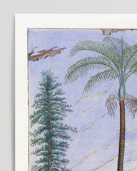 After Hover: Areca Sapida - Tropical Landscape