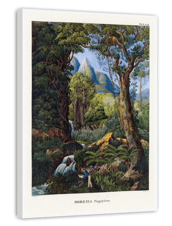 Morenia - Fruchtbare Landschaft