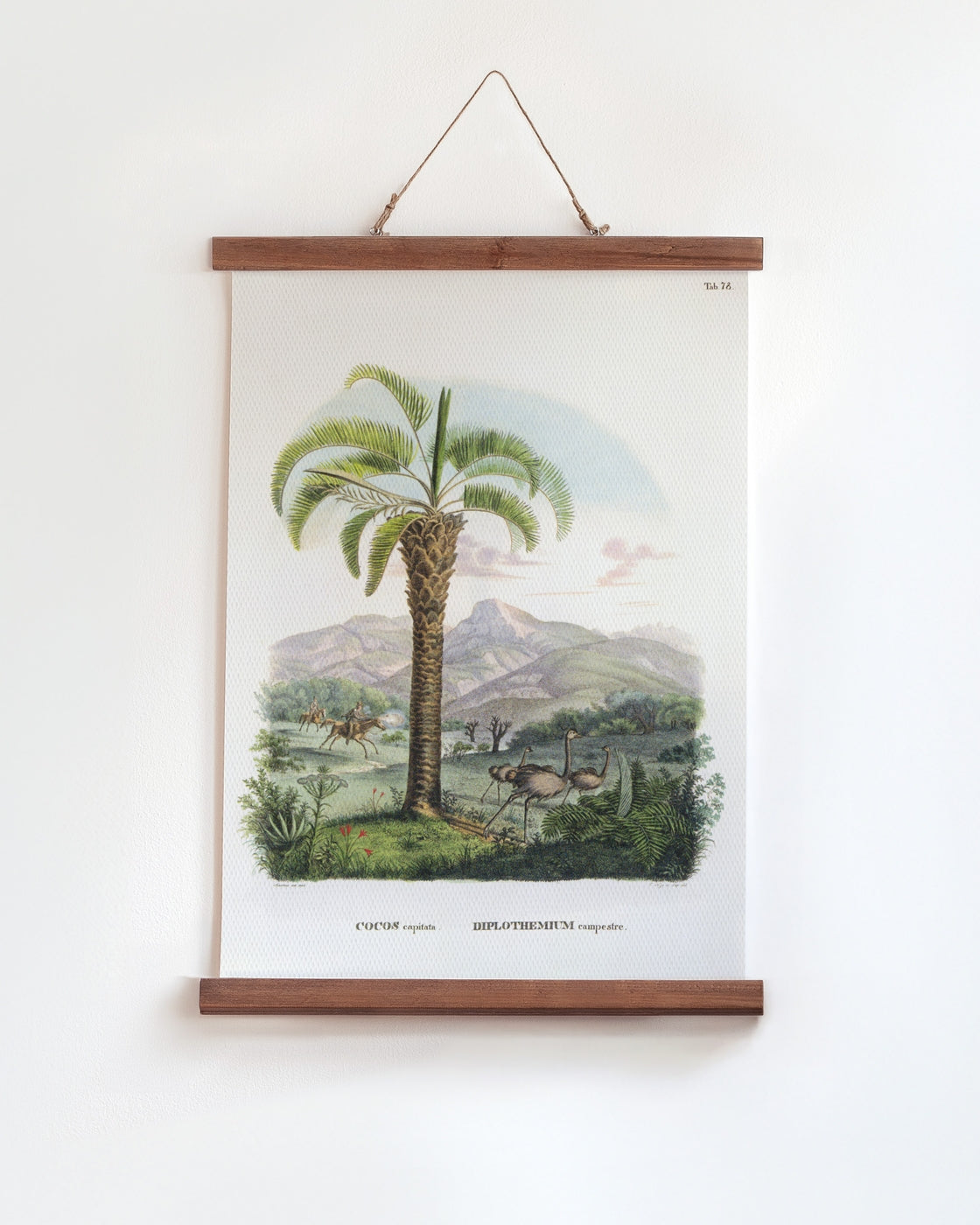 canvas