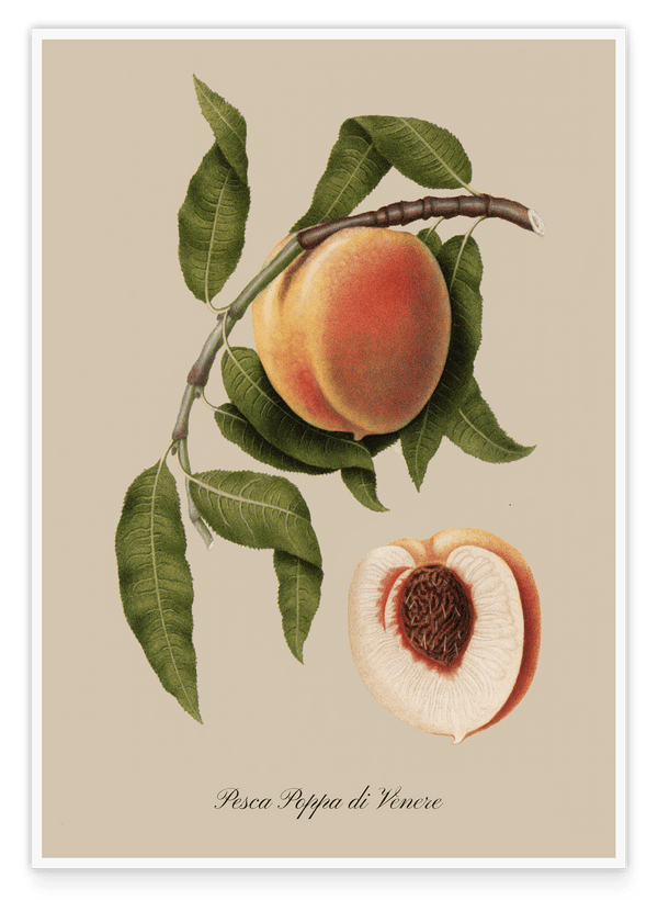 Pfirisch am Zweig