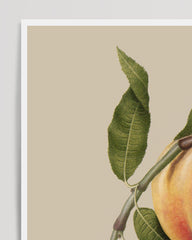 After Hover: Peach on the branch