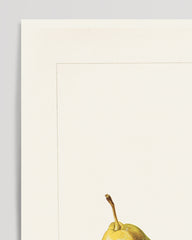 After Hover: pears