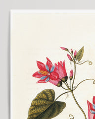 After Hover: branch with red flowers