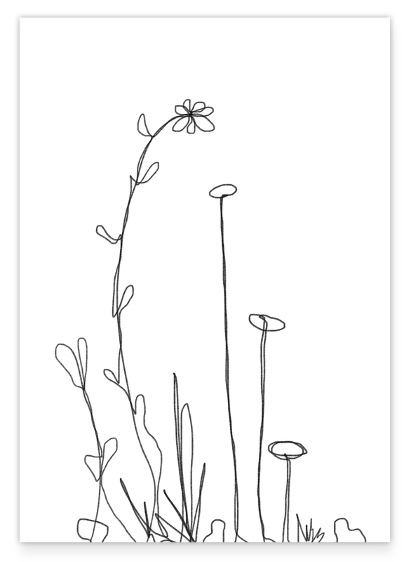 Minimalist drawing - flowers