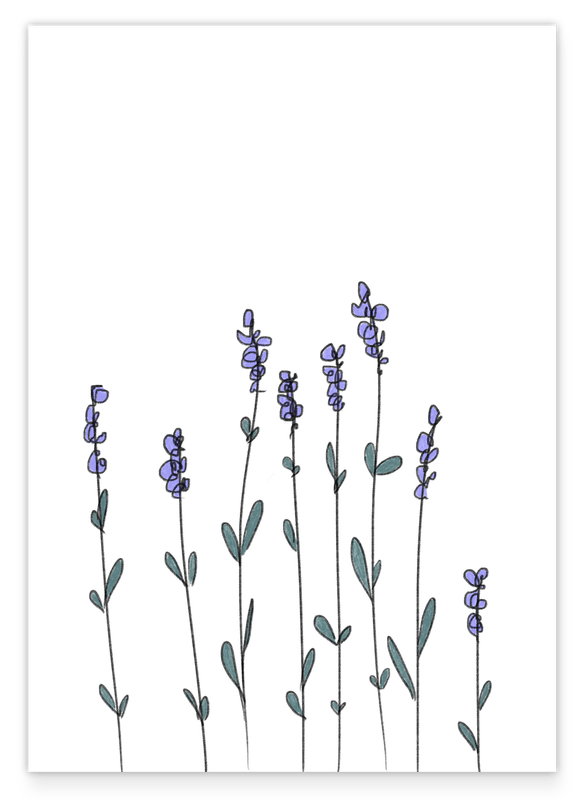 Minimalist drawing - Lavender
