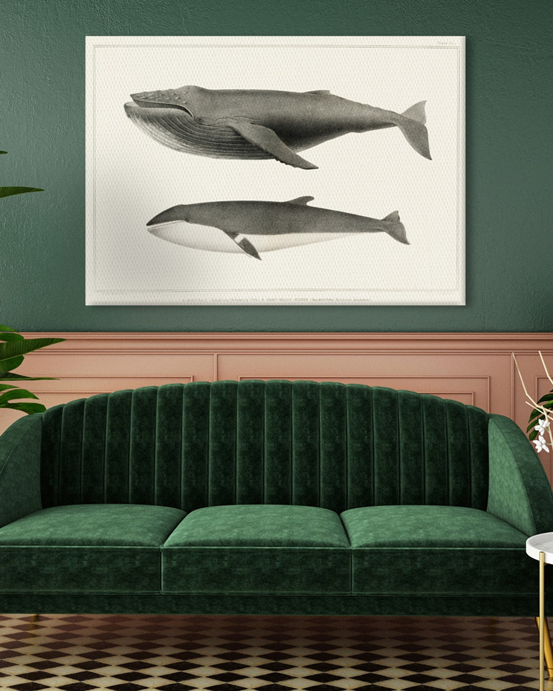 stretched-canvas