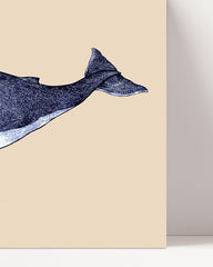 After Hover: Sea animal humpback whale in blue