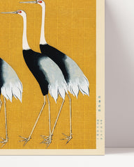 After Hover: A flock of cranes