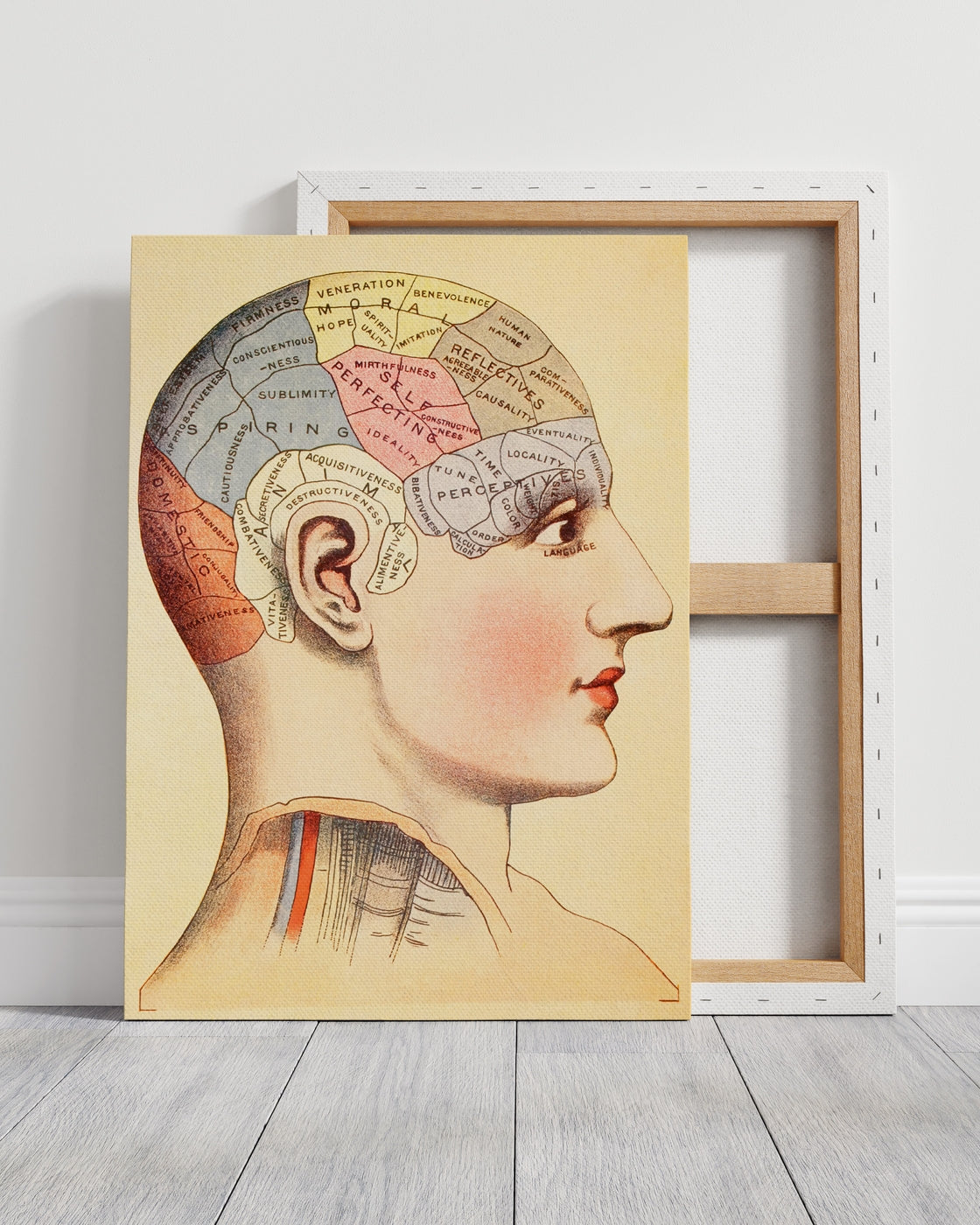 stretched-canvas