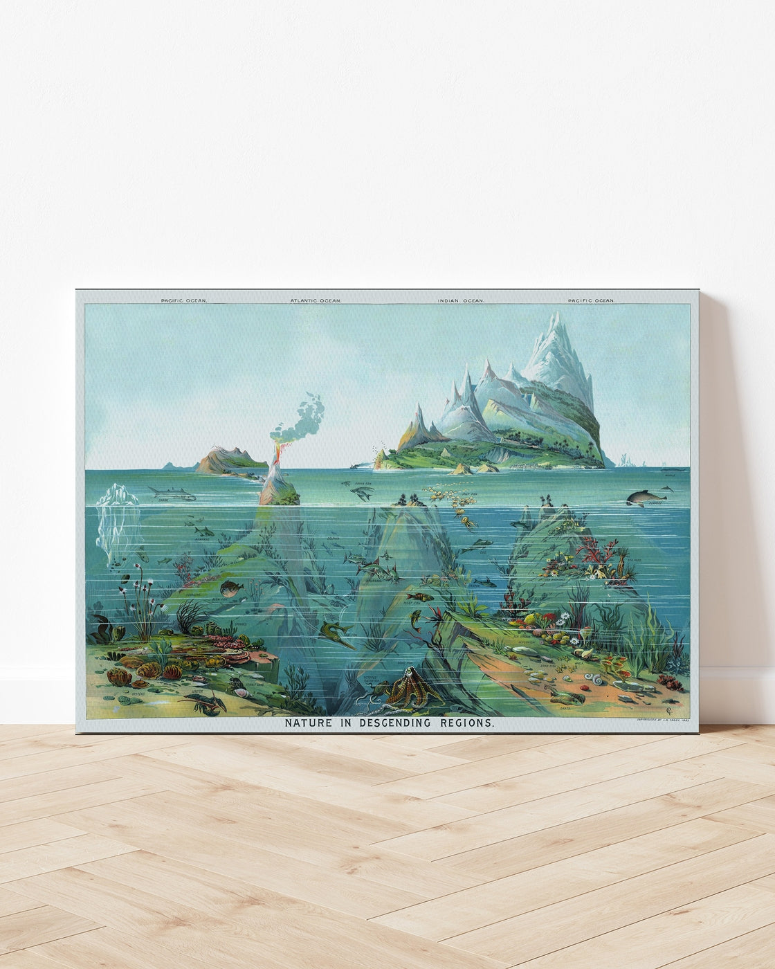 stretched-canvas
