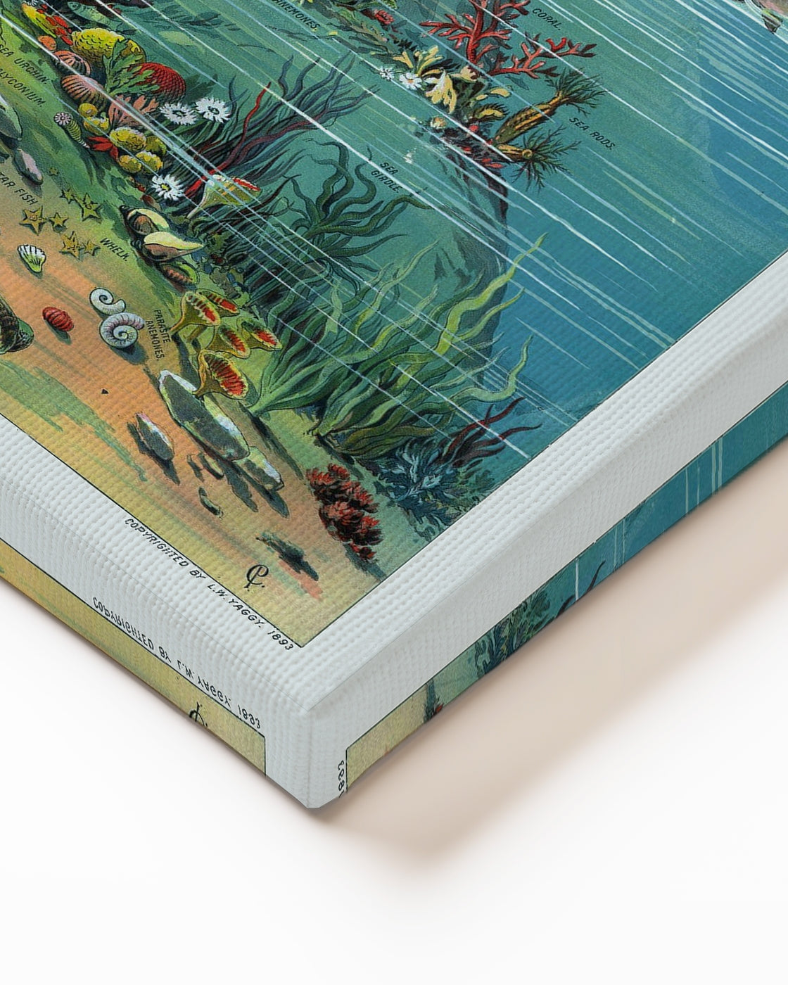 stretched-canvas