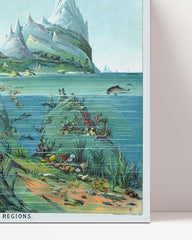 After Hover: Underwater motif "Nature in descending regions"