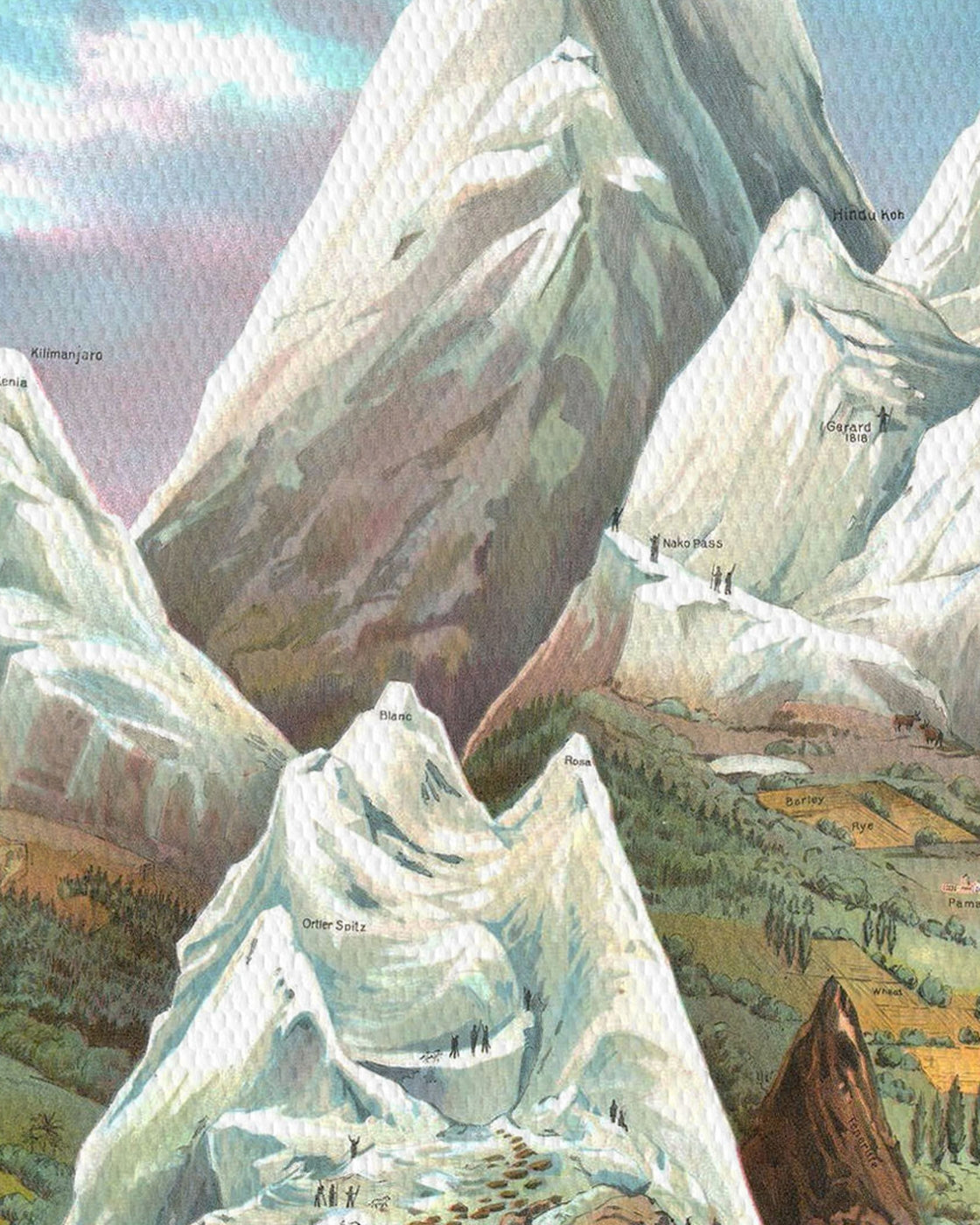 canvas