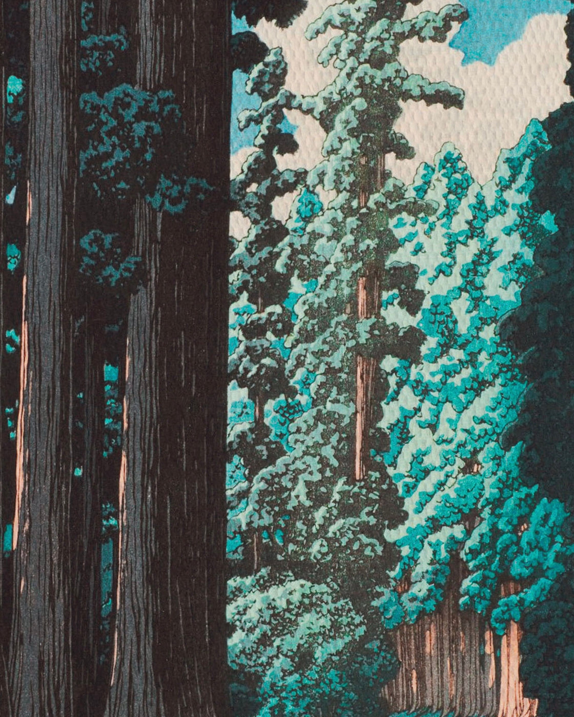 canvas