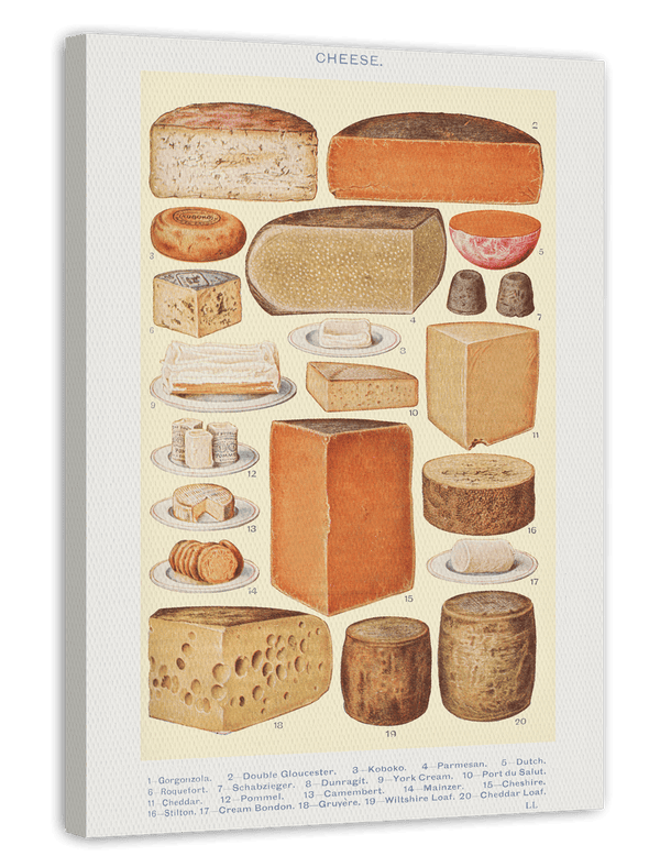 Käse-Übersicht aus Mrs. Beetons Book