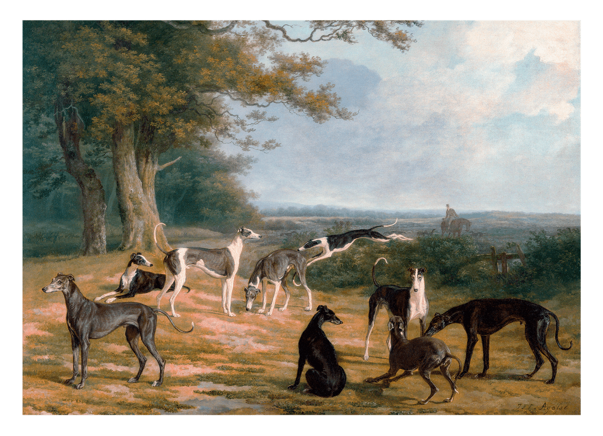 Nine Greyhounds in a landscape
