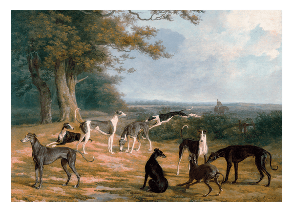 Nine Greyhounds in a landscape
