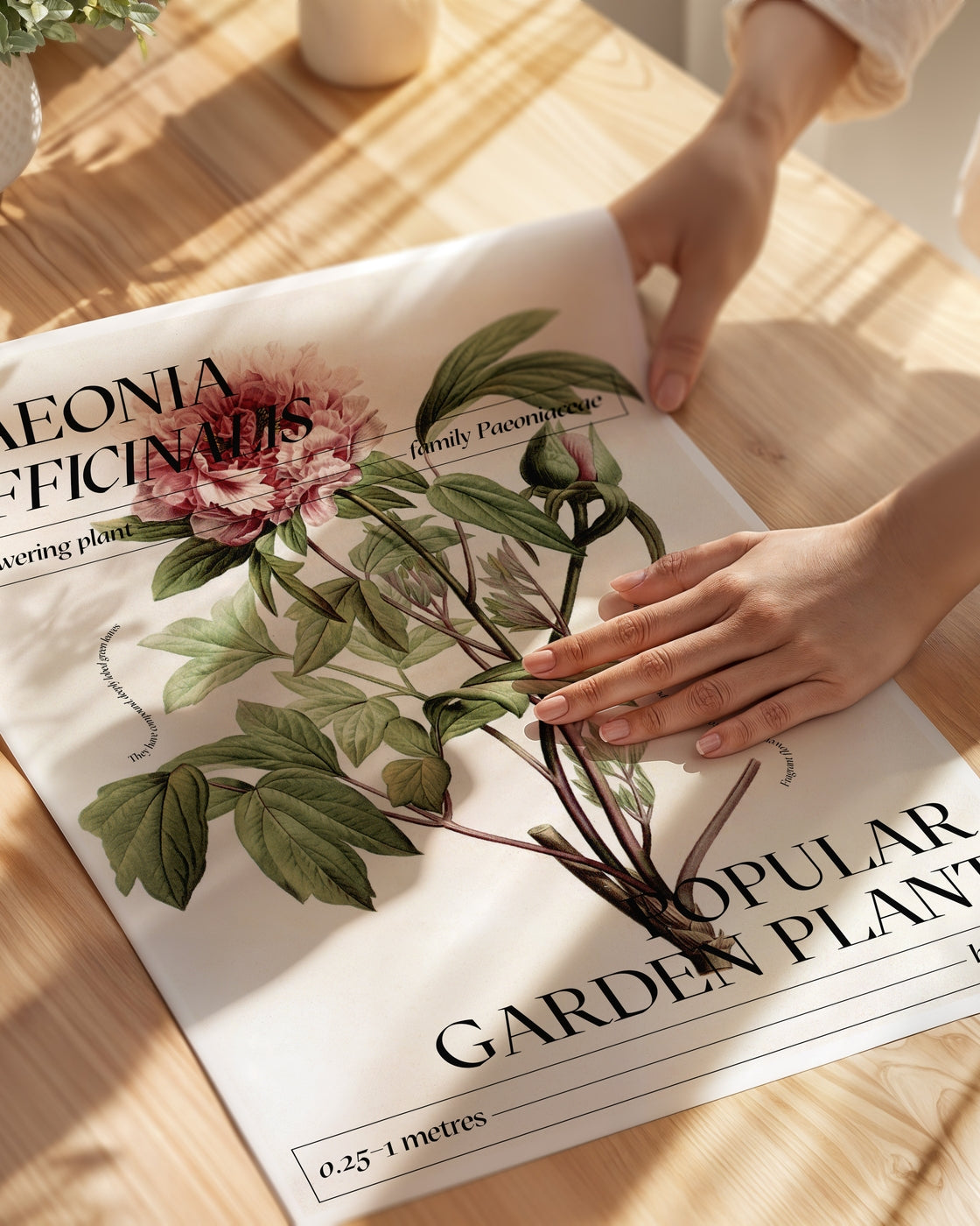 poster
