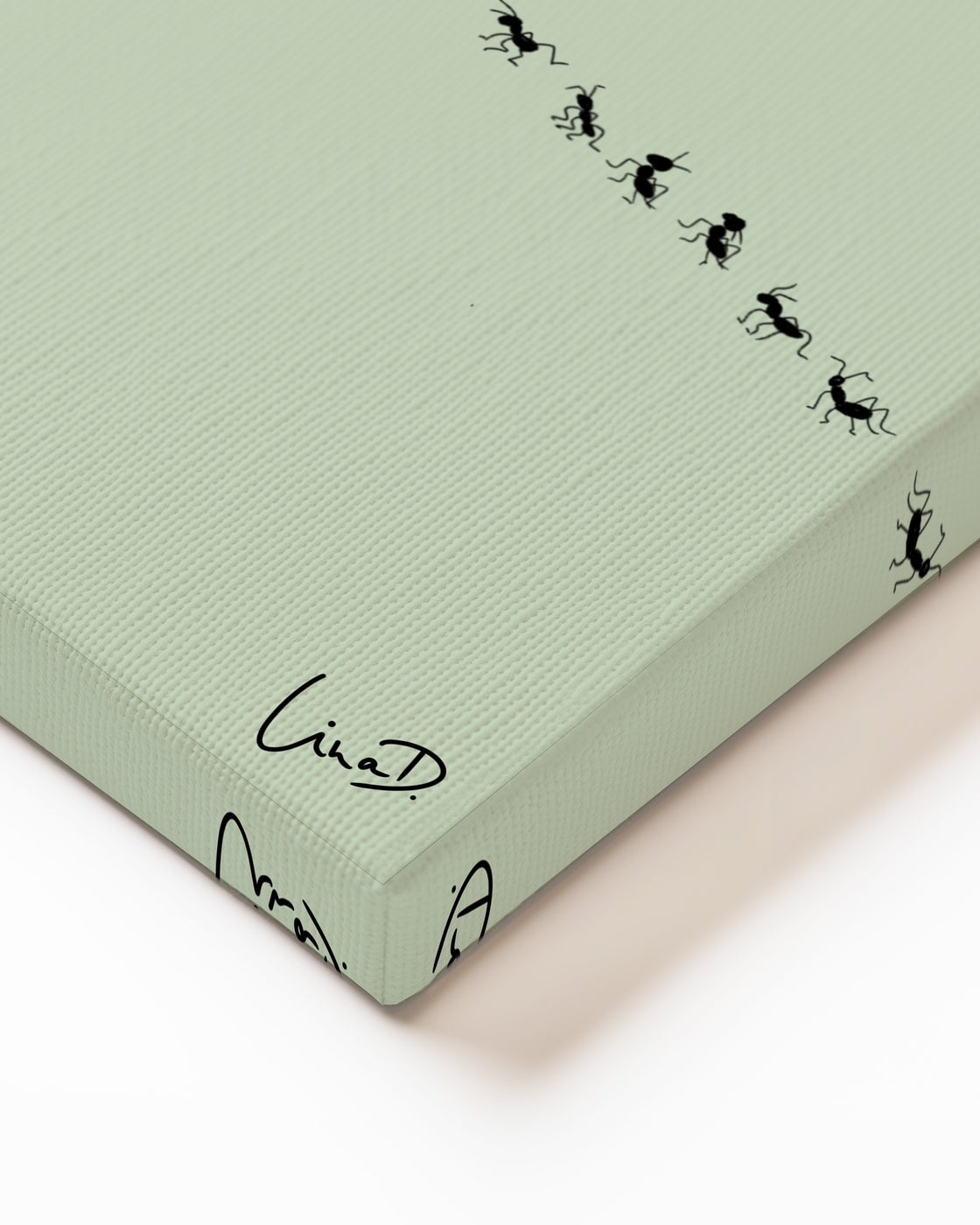 stretched-canvas