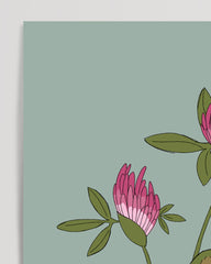 After Hover: Bee inspecting red clover - Cute animal illustration for children