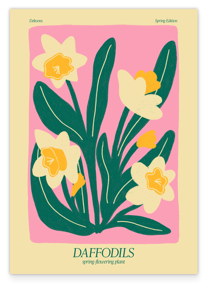 Abstract Daffodils - Narzissen in Gelb und Rosa