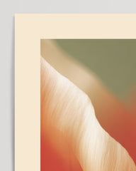 After Hover: Thriving Tulip: Tulip Festival Netherlands No. 1