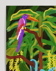 After Hover: Jungle Paradise: Big Cats and Birds of Paradise