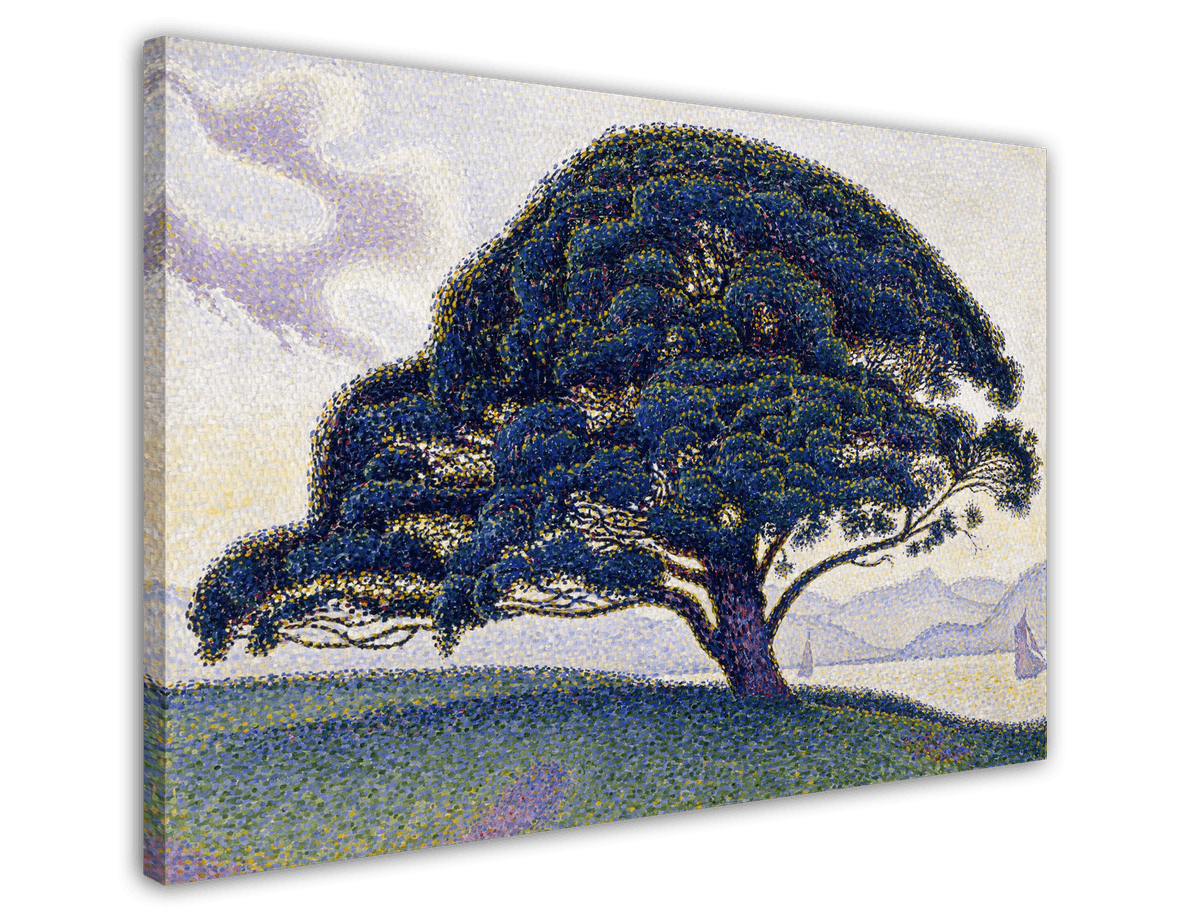 stretched-canvas