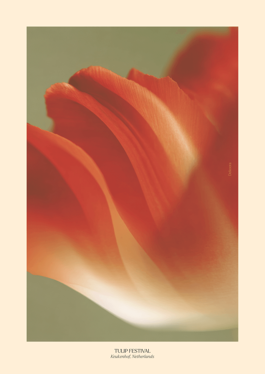 poster-set
