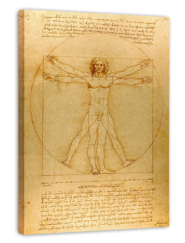 Leonardo da Vinci - Vitruvianischer Mensch