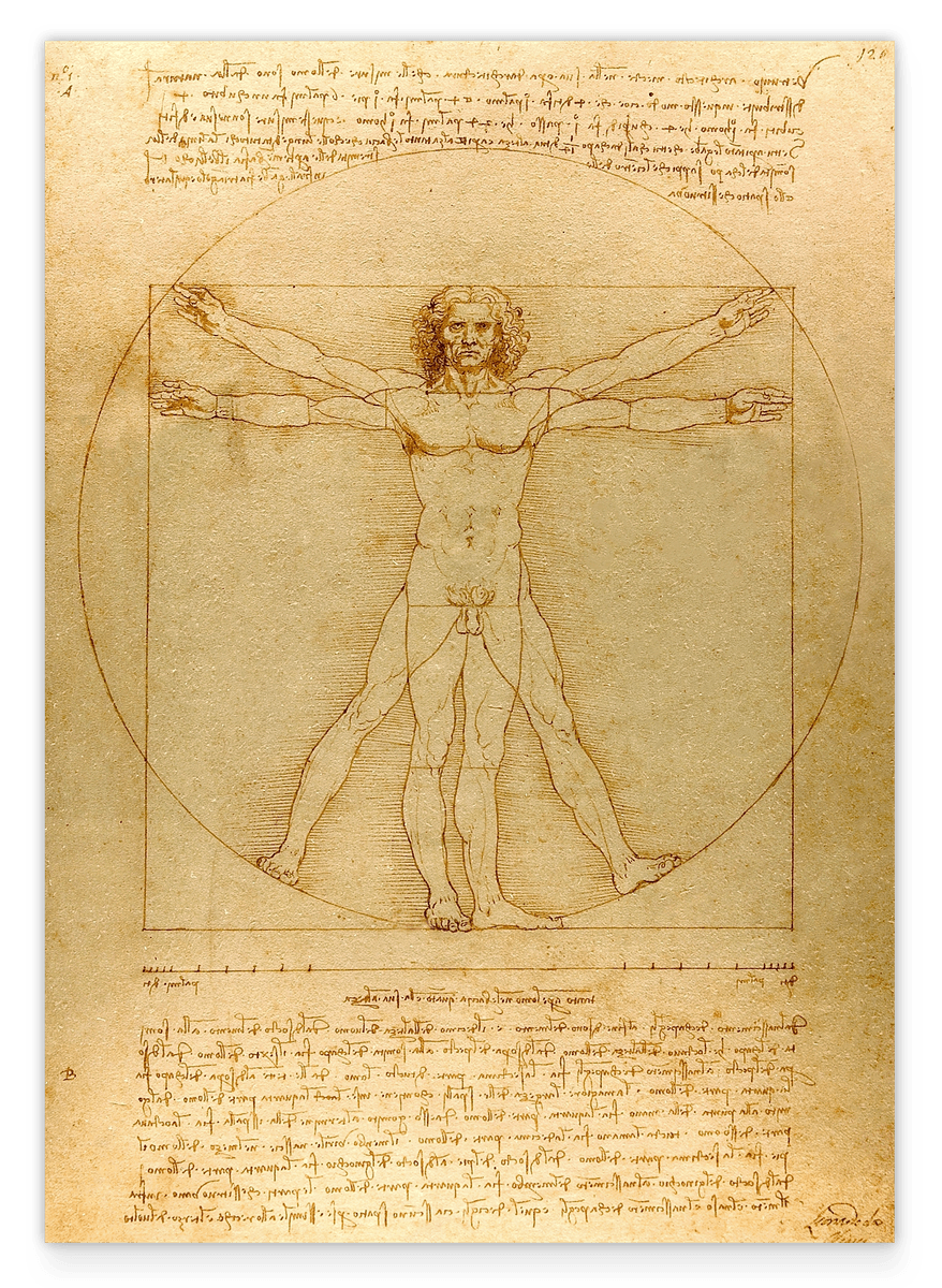 Leonardo da Vinci - Vitruvian Man