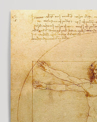 After Hover: Leonardo da Vinci - Vitruvian Man