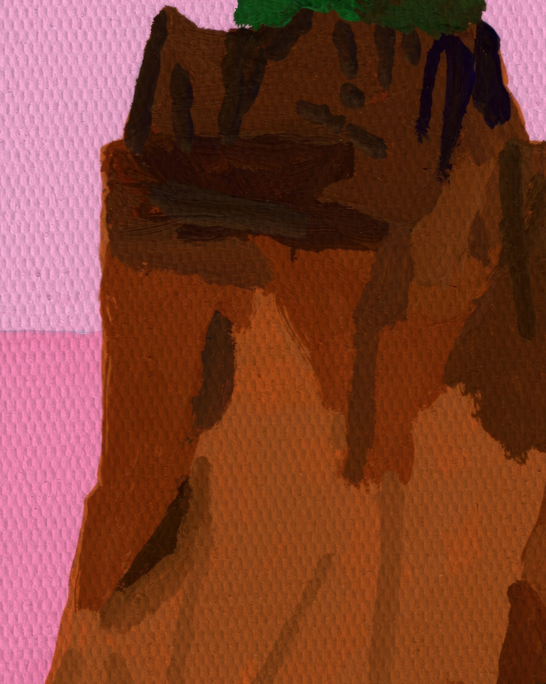canvas