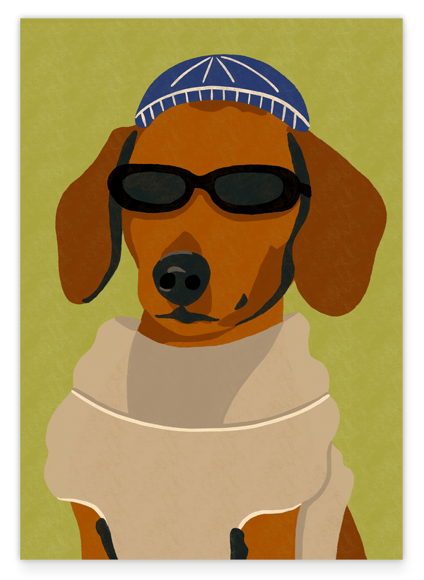 Dekoora Dogs: Cool Dackel