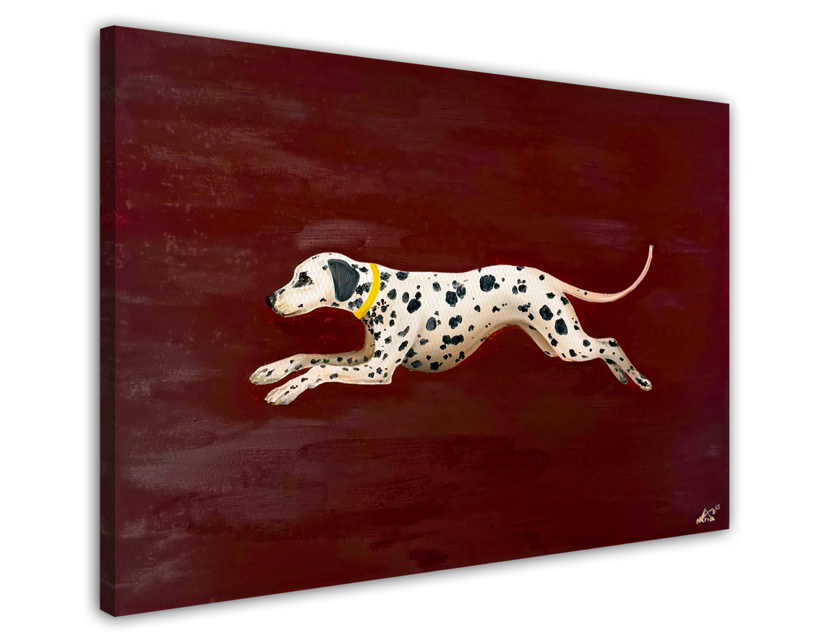 stretched-canvas