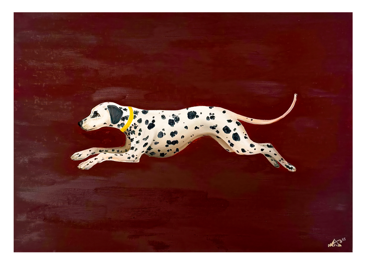Perrito – Rennender Dalmatiner